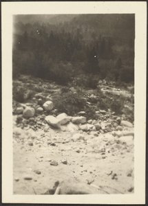 風景 作： Louis Fleckenstein