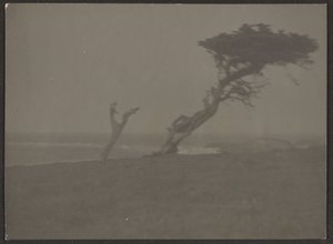 風景 作： Louis Fleckenstein
