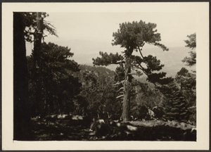 風景 作： Louis Fleckenstein