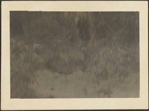 風景 作： Louis Fleckenstein