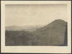 風景 作： Louis Fleckenstein