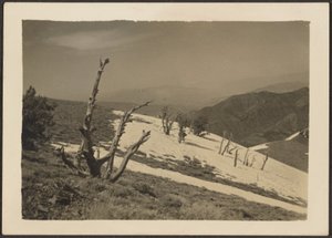 風景 作： Louis Fleckenstein
