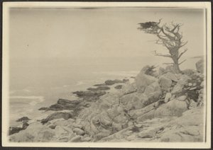 ［風景］ 作： ルイ・フレッケンシュタイン