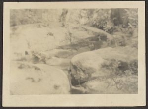[玉石のある風景］ 作： Louis Fleckenstein