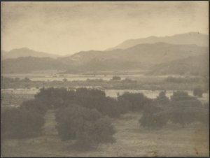 [低木のある風景］ 作： Louis Fleckenstein