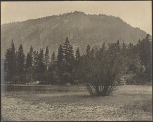 [岩壁のある風景］ 作： Louis Fleckenstein