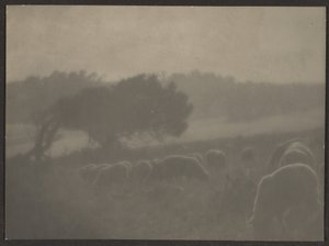 [羊のいる風景］ 作： Louis Fleckenstein