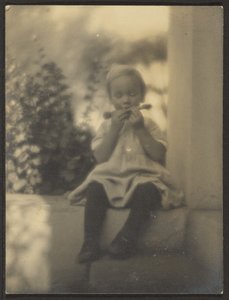  作： Louis Fleckenstein