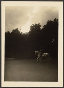 [暗い木と明るい空と馬上の男]。 作： Louis Fleckenstein