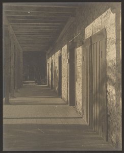  作： Louis Fleckenstein