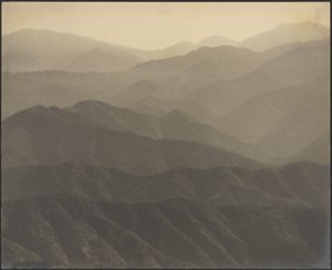 作： Louis Fleckenstein