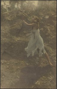  作： Louis Fleckenstein