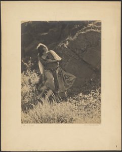  作： Louis Fleckenstein
