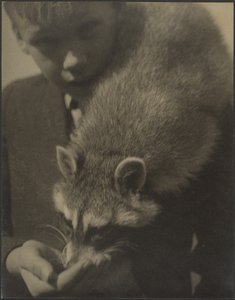  作： Louis Fleckenstein