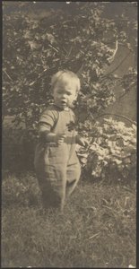  作： Louis Fleckenstein