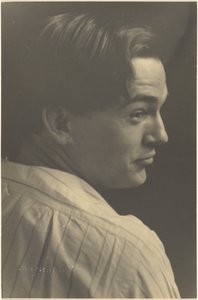  作： Louis Fleckenstein