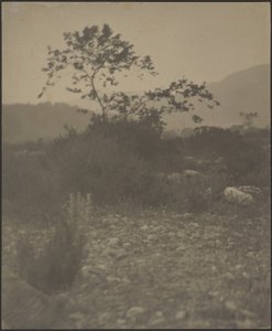 [ロッキーの風景］ 作： Louis Fleckenstein