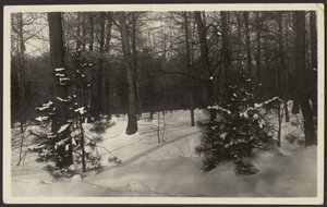 [雪景色］ 作： Louis Fleckenstein