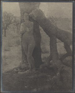  作： Louis Fleckenstein