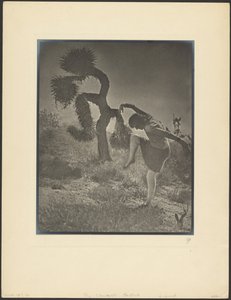  作： Louis Fleckenstein