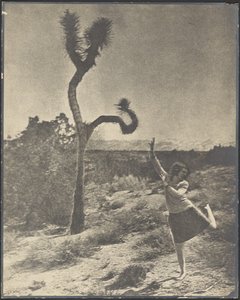  作： Louis Fleckenstein