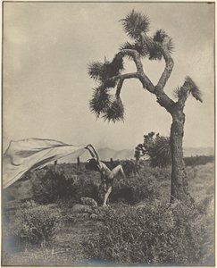  作： Louis Fleckenstein