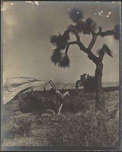  作： Louis Fleckenstein