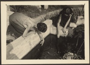 作： Louis Fleckenstein