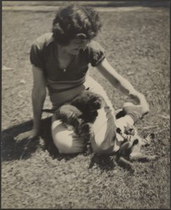  作： Louis Fleckenstein