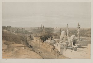 エジプトとヌビア、ボリュームIII：カイロ、西を見る、1848年。 作： Louis Haghe