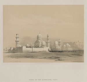 エジプトとヌビア、ボリュームIII：Memlooksの墓、カイロ、1849年。 作： Louis Haghe