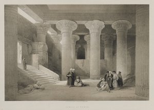 エジプトとヌビア、ボリュームI：エズネの神殿、1846年。 作： Louis Haghe