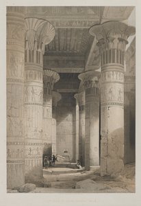 エジプトとヌビア、ボリュームI：フィラエ神殿の大ポルティコの下での眺め、1846年。 作： Louis Haghe