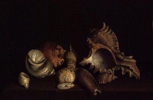 棚上の貝殻の静物、17世紀 作： Louis Hubner