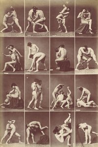 Album of Studies-Poses, ca. 1880年。 作： Louis Igout