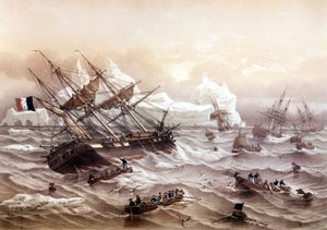 ニューファウンドランドでの捕鯨。ルブルトンによる絵画。19世紀初頭 作： Louis Le Breton