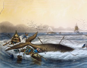 南洋の捕鯨」ルイ・ルブルトン（1866年没）のカラーリトグラフ 作： Louis Le Breton