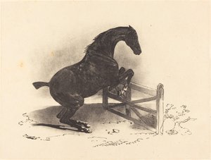 障壁をジャンプする馬 作： Louis Pierre Marie Courtin after Théodore Gericault