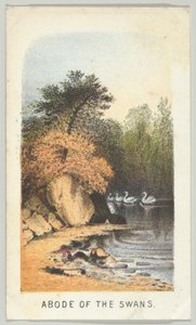 白鳥の住居、シリーズから、ニューヨークのセントラルパークの景色、パート2、1864年。 作： Louis Prang