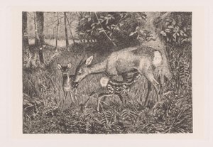 2 つの若い鹿 レ家 作： Louis Theodor Lindblohm