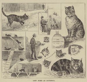 バターシーの猫の家 作： Louis Wain
