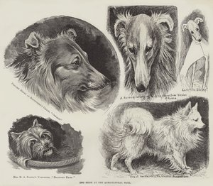農業ホールでのドッグショー 作： Louis Wain