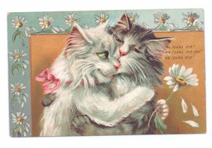抱き合った2匹の猫のエドワード朝様式のはがき、c.1910