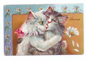 抱き合った2匹の猫のエドワード朝様式のはがき、c.1910