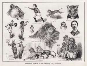 イズリントンで開催された「万国博覧会」での動物のパフォーマンス（版画 作： Louis Wain
