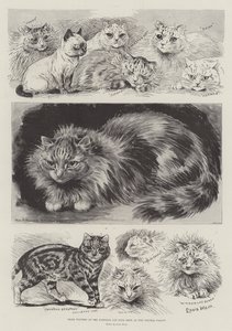 Crystal PalaceでのNational Cat Club Showの受賞者 作： Louis Wain