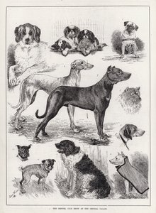 The Kennel Club Show at the Crystal Palace (e.g. The Kennel Club Show at the Crystal Palace) 作： Louis Wain