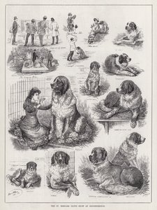ナイツブリッジでのセントバーナードクラブのショー（彫刻 作： Louis Wain