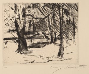 ツリーズ イン ザ サン 作： Lovis Corinth