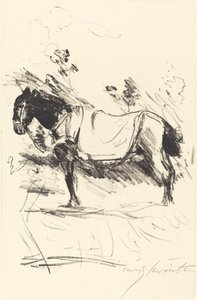 Reitpferd (乗馬)